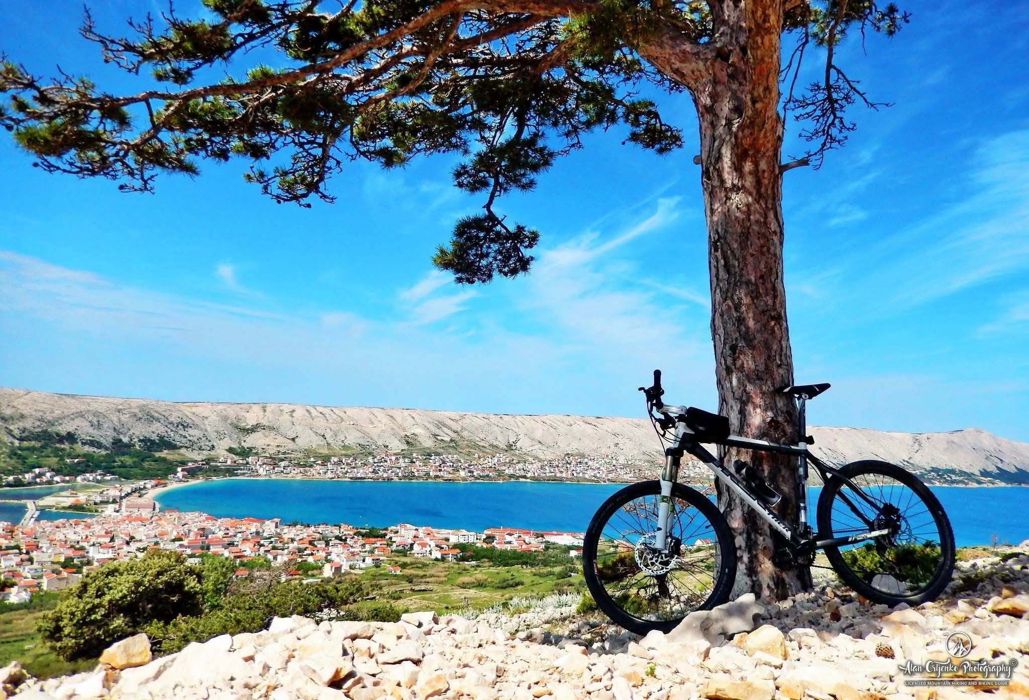 bike 2