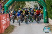 Pedalom-8