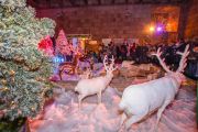 klizanjpag2018otvaranje-4