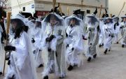 Paski-karneval-2