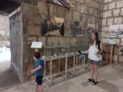 IMG-20250512-WA0000