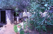 P1010171